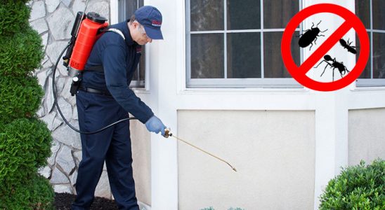 Susurluk Akrep İlaçlama böcek ilaçlama ve haşere kontrolü — ilaclama-tr.com